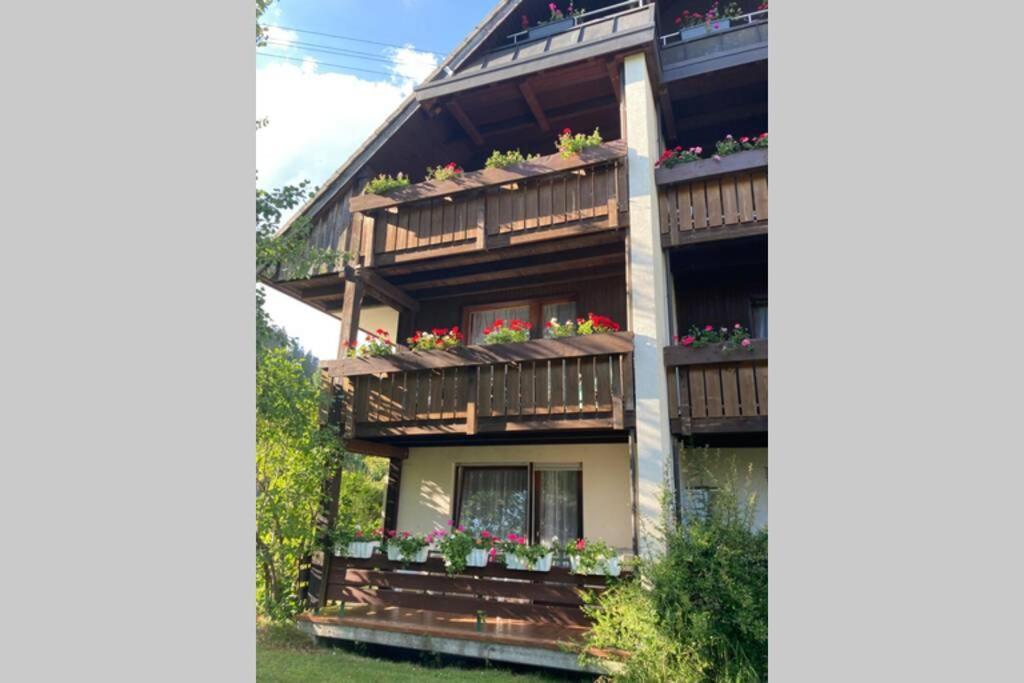 Gemuetliche Ferienwohnung In Sankt Blasien ภายนอก รูปภาพ