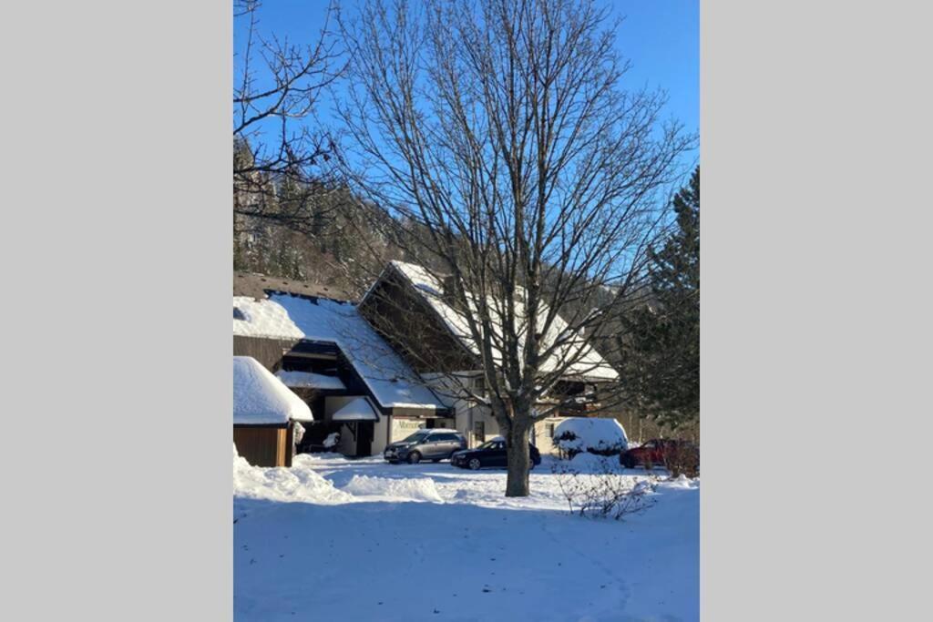 Gemuetliche Ferienwohnung In Sankt Blasien ภายนอก รูปภาพ