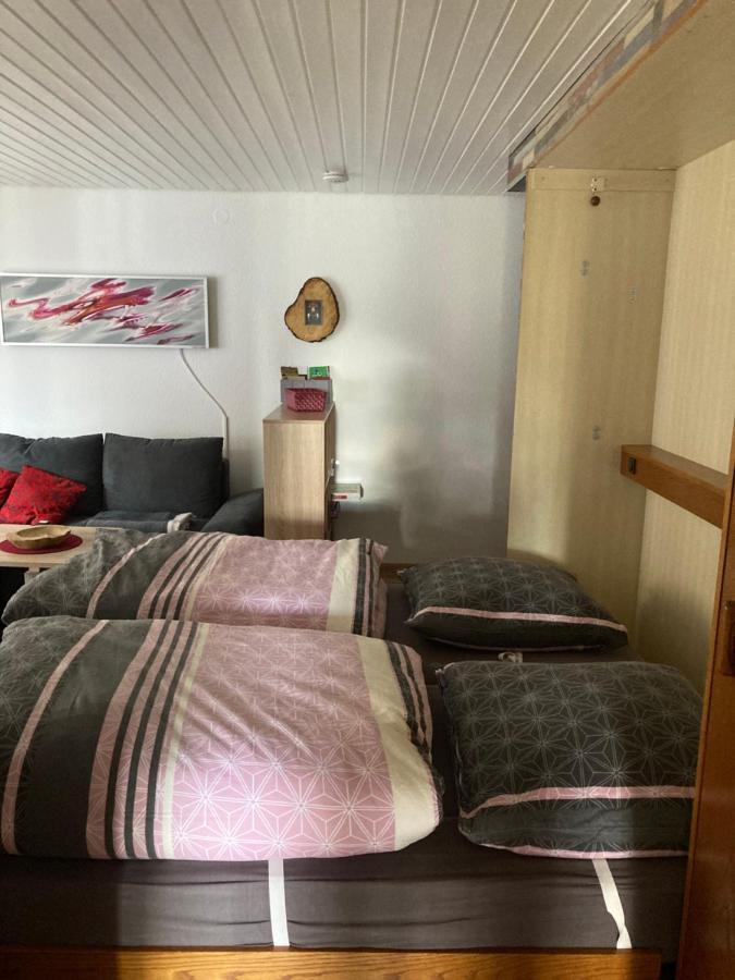 Gemuetliche Ferienwohnung In Sankt Blasien ภายนอก รูปภาพ