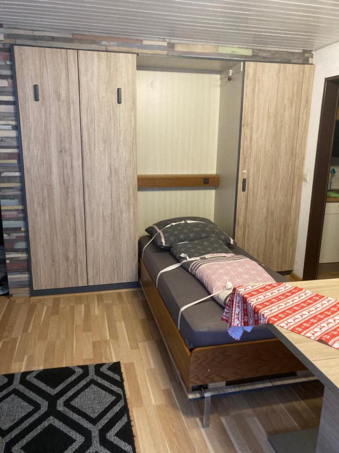 Gemuetliche Ferienwohnung In Sankt Blasien ภายนอก รูปภาพ