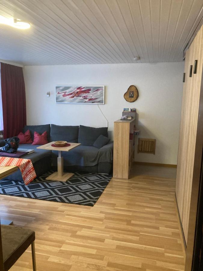 Gemuetliche Ferienwohnung In Sankt Blasien ภายนอก รูปภาพ